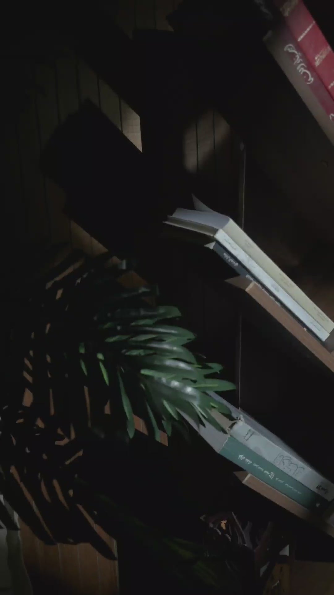 جاد وودز رف كتب من 8 طبقات على شكل شجرة مع درج،